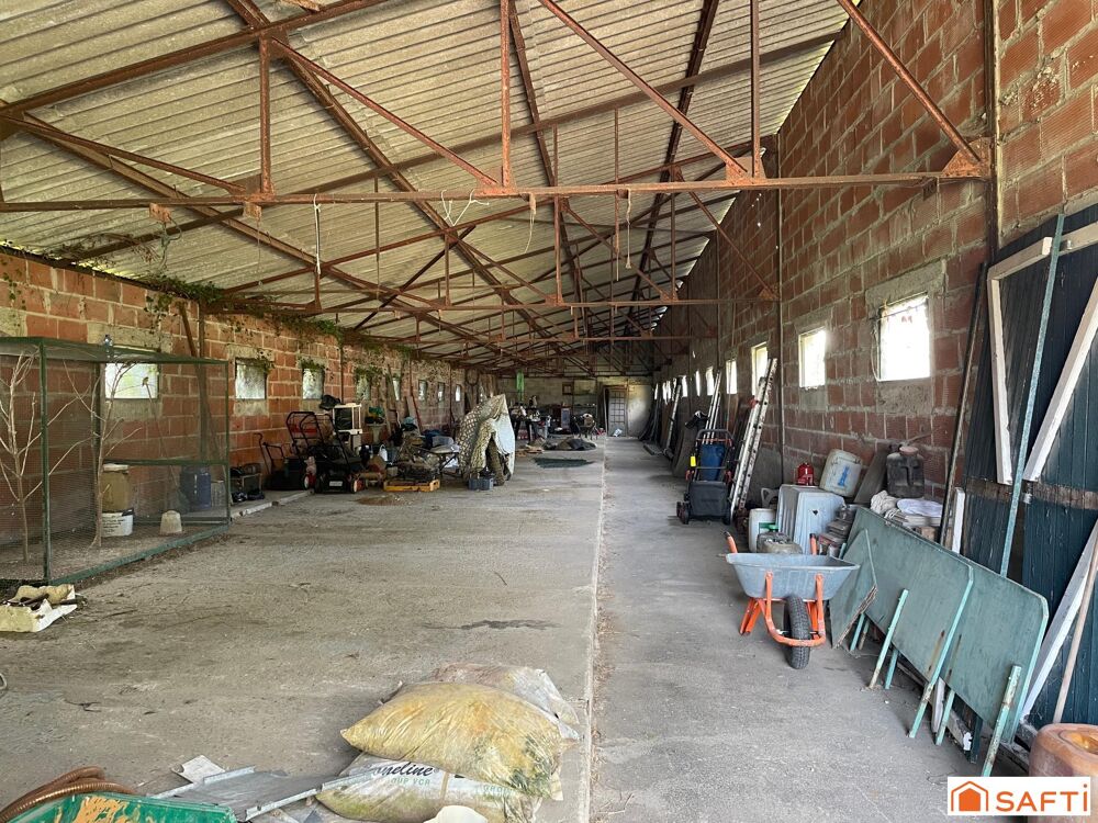LE DOULIEU  MAISON 3 CHAMBRES  7 580 M² DE TERRAIN  HANGAR 300 M²