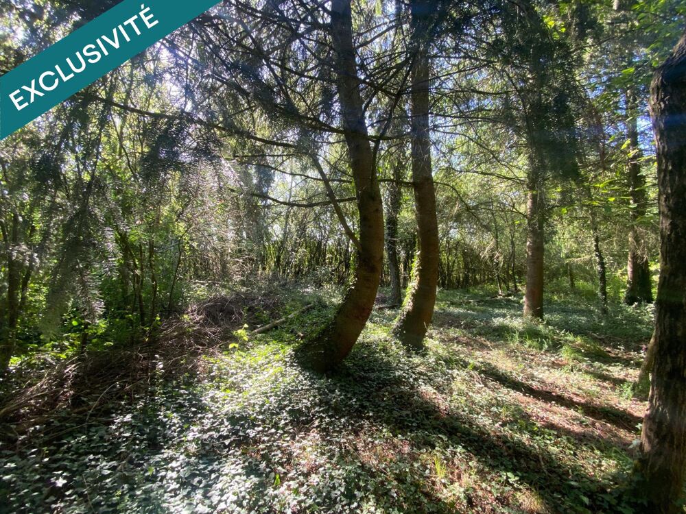 Vente Terrain Terrain agricole et de loisirs de 5 180 m² – à proximité de Langon Langon