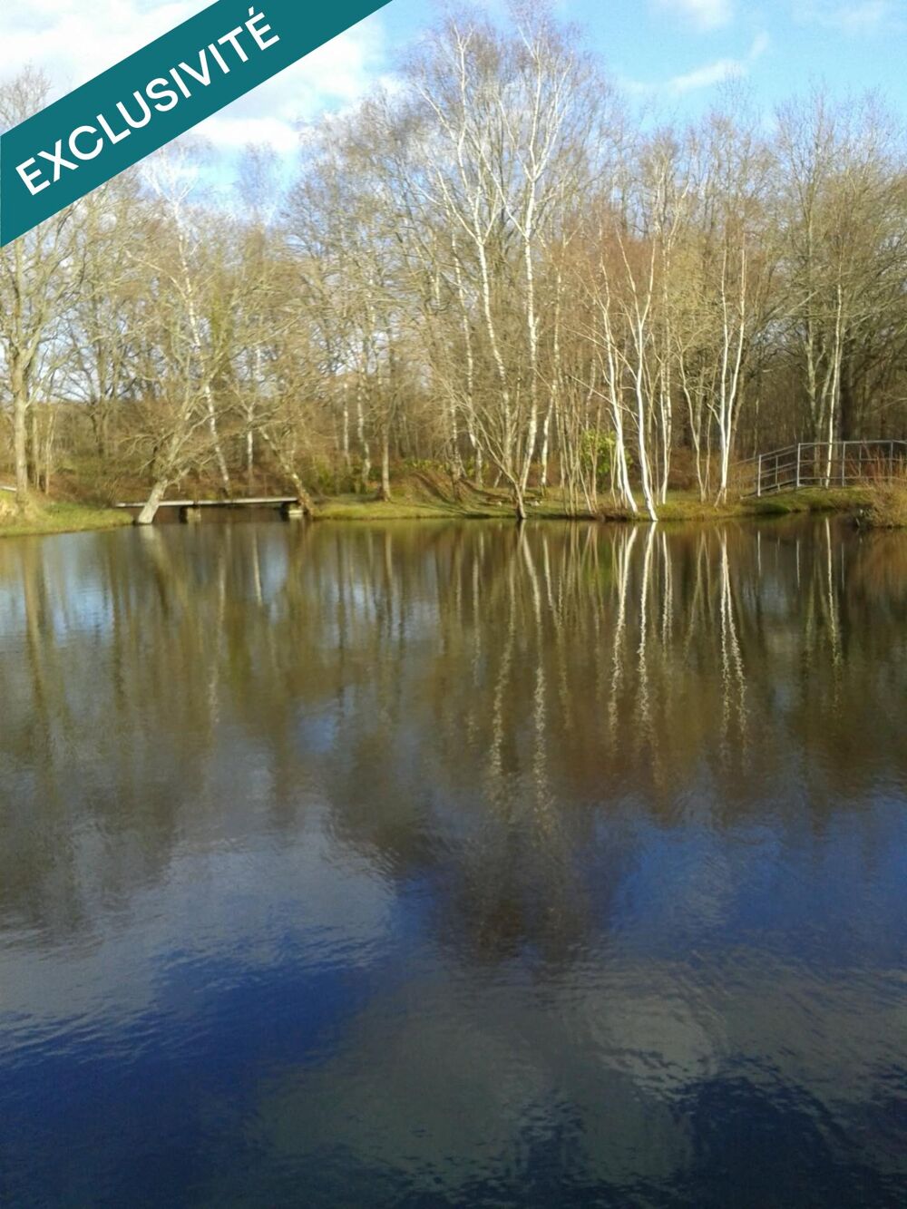 Vente Terrain TERRAIN DE LOISIR SUPERFICIE 48176 M2 avec etang 2500 M2 Sancoins