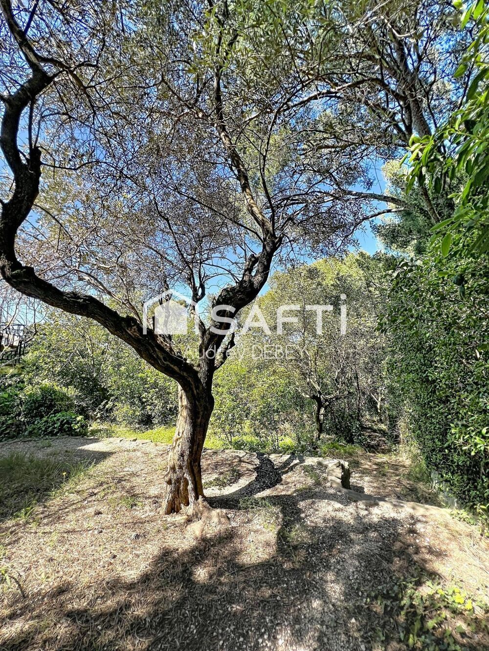 CADRE CAMPAGNE CALME ABSOLU PROPRIÉTÉ PROVENÇALE AVEC FORT POTENTIEL SUR LE SECTEUR RECHERCHÉ DE BEAUCOURS