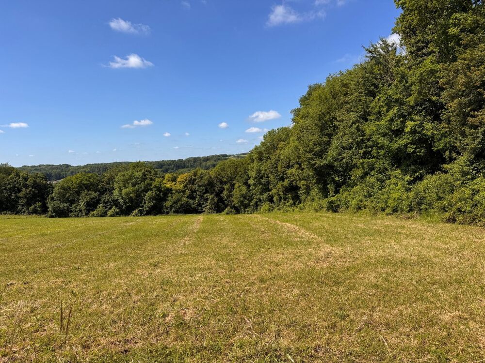 Vente Terrain 3 mn accès A4 Montreuil aux lions Montreuil-aux-lions