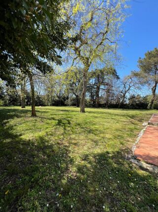 Maison à vendre 6 pièces 247 m²