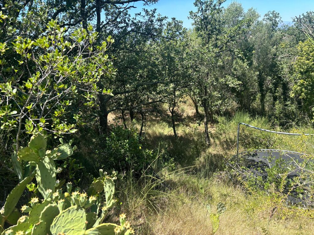 Vente Terrain Terrain avec superbe environnement Brouilla