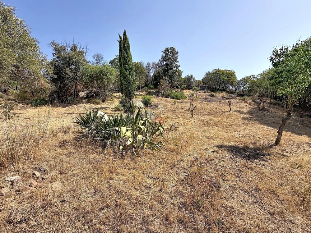 Vente Terrain Terrain AGOSTA-MOLINI avec 2 permis Albitreccia