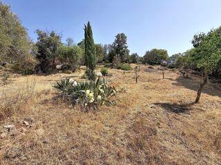  Terrain à vendre 2731 m²