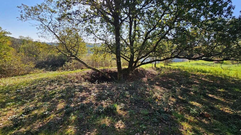Vente Terrain Terrain à bâtir 2000 m2 - borné - viabilisé La salvetat-belmontet