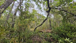  Terrain  vendre 11136 m