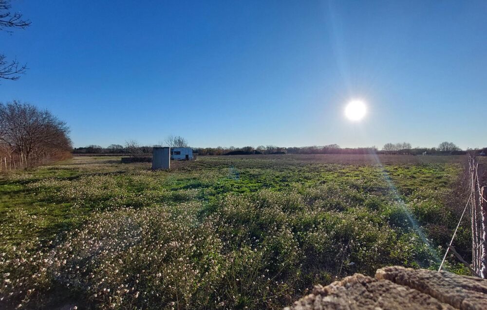 Vente Terrain Terrain agricole facile � exploiter Le cailar