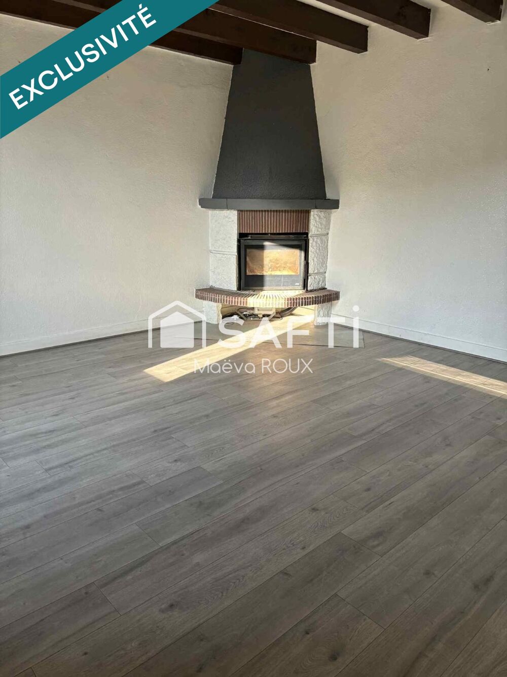 Grande maison familiale avec revenus locatifs