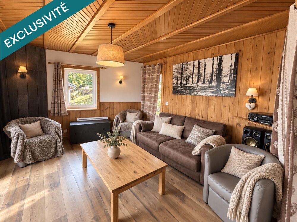Gérardmer- Chalet divisé en 2 appartements vue Lac