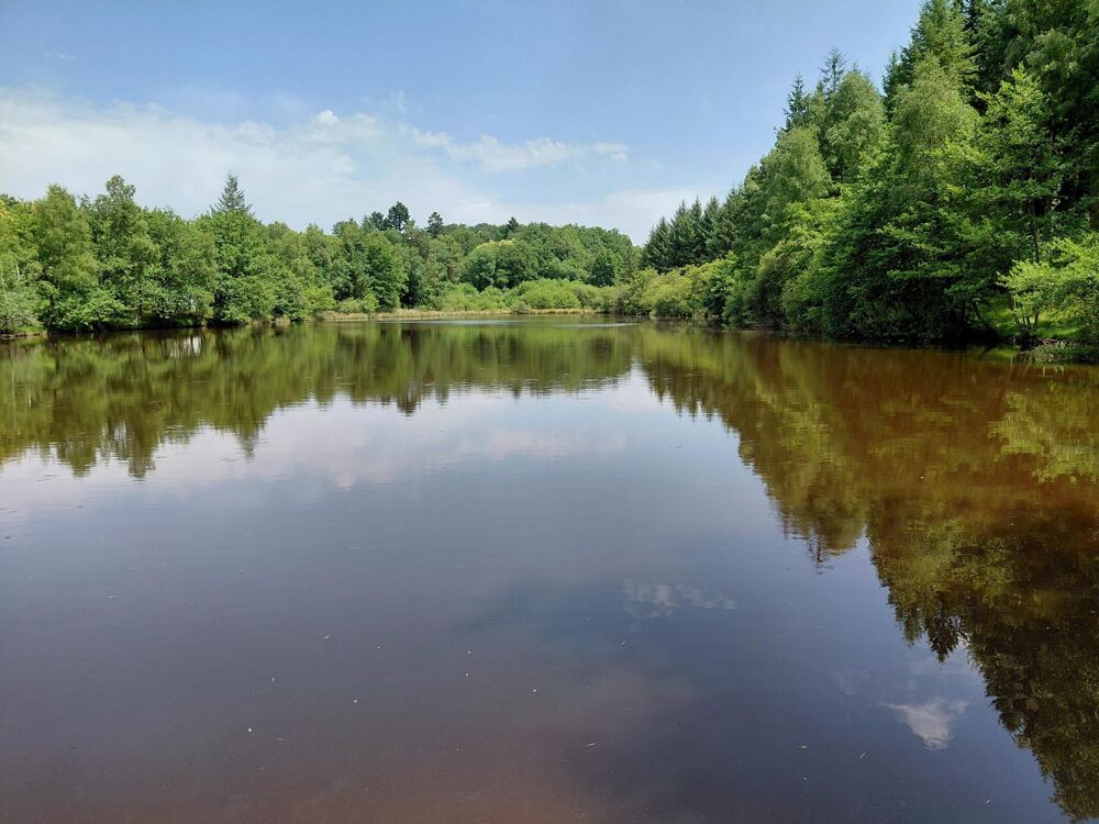 Vente Terrain Vaste Etang d'environ 2 ha avec bois Pensol