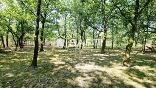  Maison � vendre 7 pi�ces 204 m�