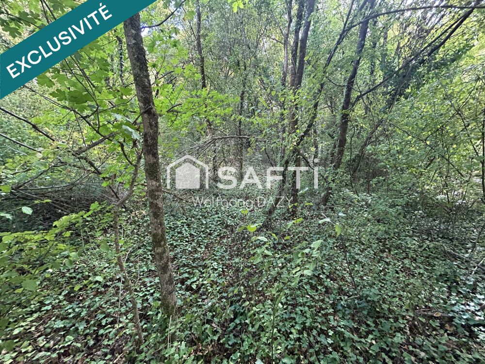 Vente Terrain Terrain de loisir arboré à proximité de la Vienne Vouneuil-sur-vienne