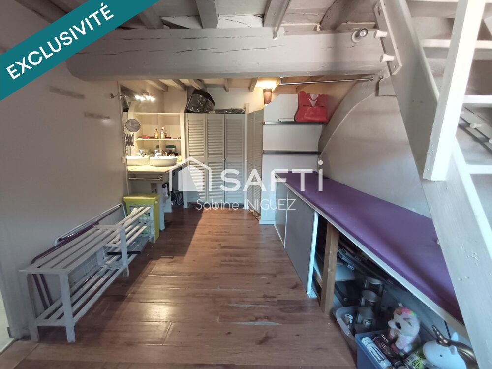 PLEIN CENTRE VILLE, APPARTEMENT ATYPIQUE
