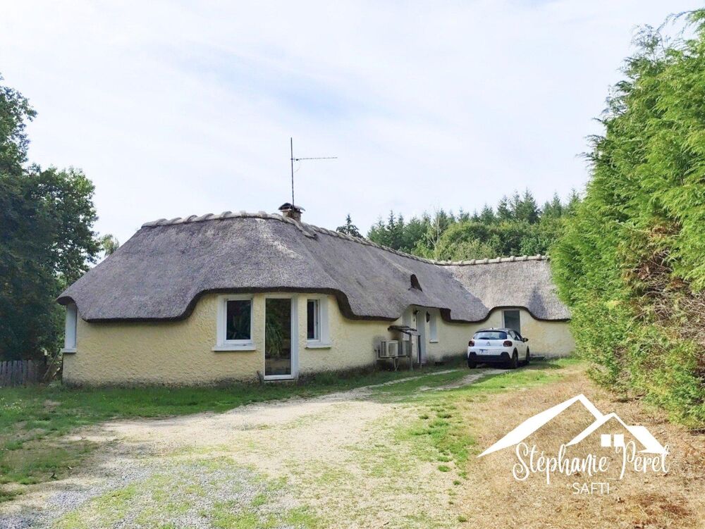 Vente Maison Maison de plain-pied 127 m² – 3 chambres + bureau – Terrain 9 066 m² Meymac