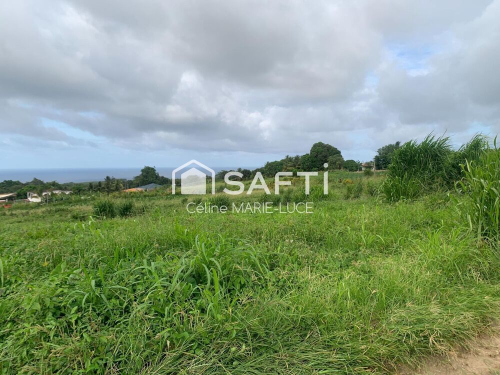 Vente Terrain Parcelle vue mer Basse-pointe