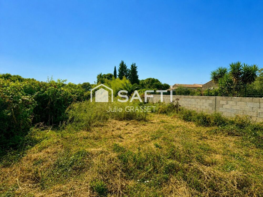 Maison de plain pied sur un grand terrain dans un environnement calme
