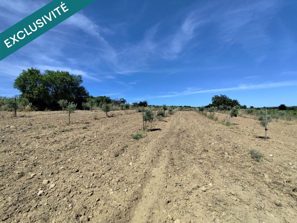 Vente Terrain 6 200 m² de paradis, oliveraie vue sur Sète ! Montagnac