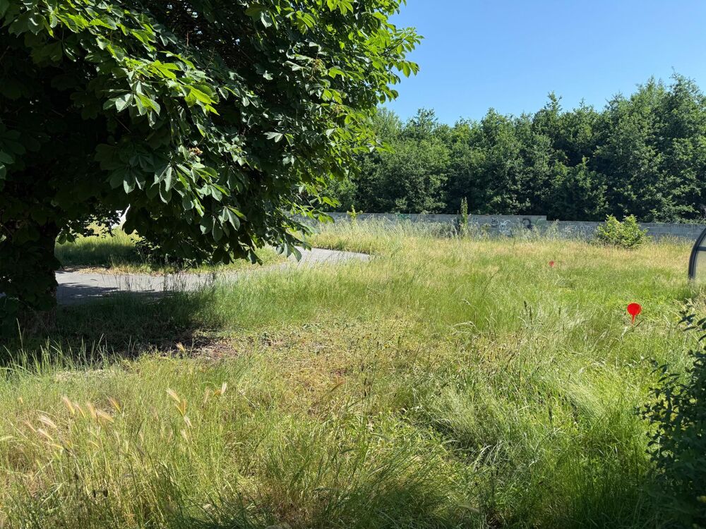 Vente Terrain Terrain constructible Pont-saint-martin