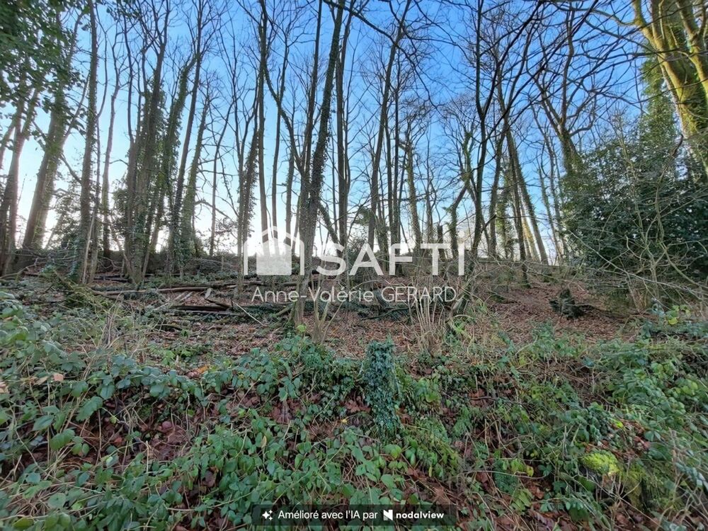 Vente Terrain Beau terrain agricole 3,7 hect avec ruisseau Buais-les-monts
