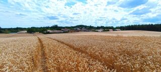  Terrain � vendre 12138 m�