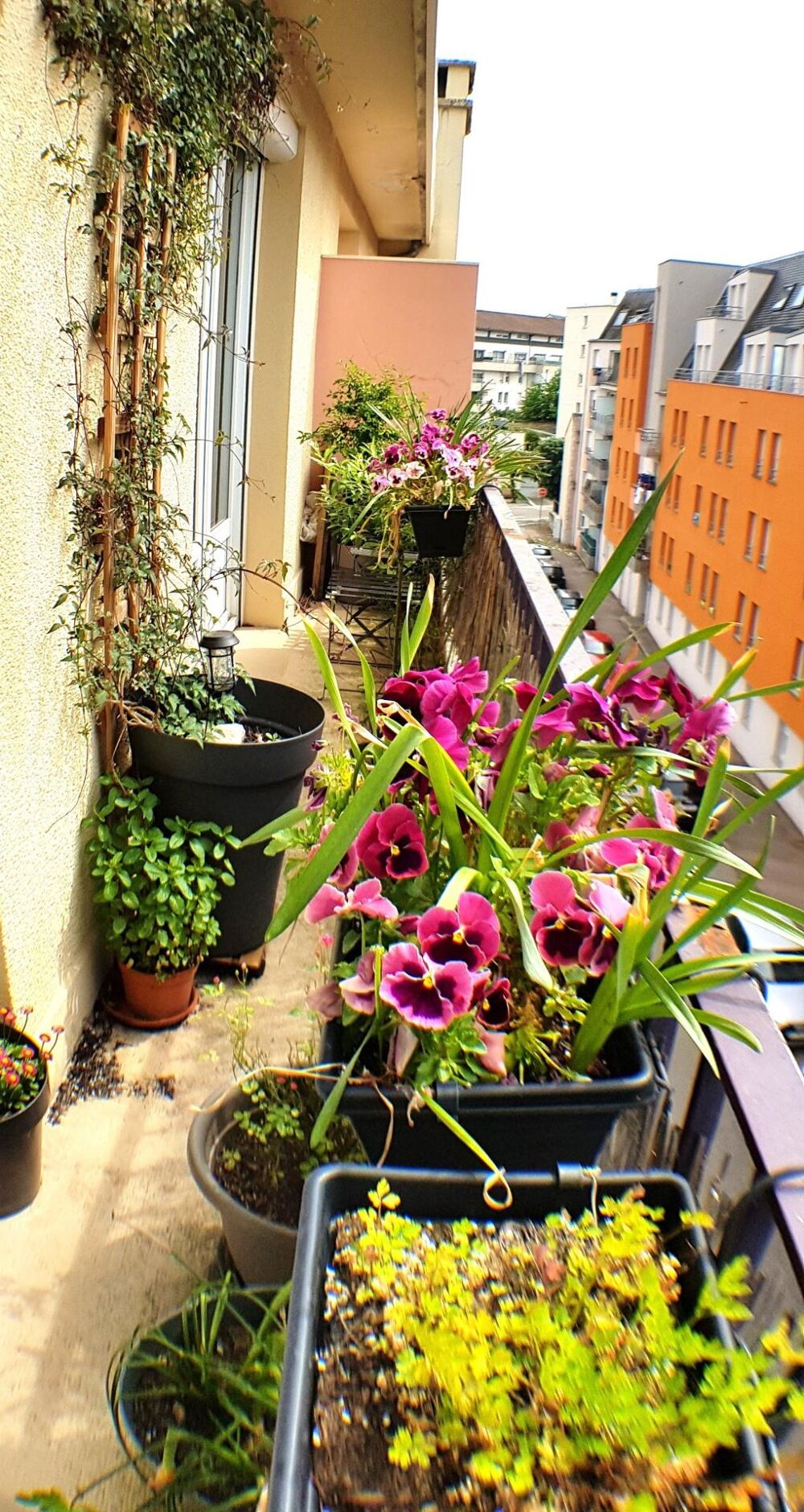 Vente Appartement T3 idéal investisseurs Limoges