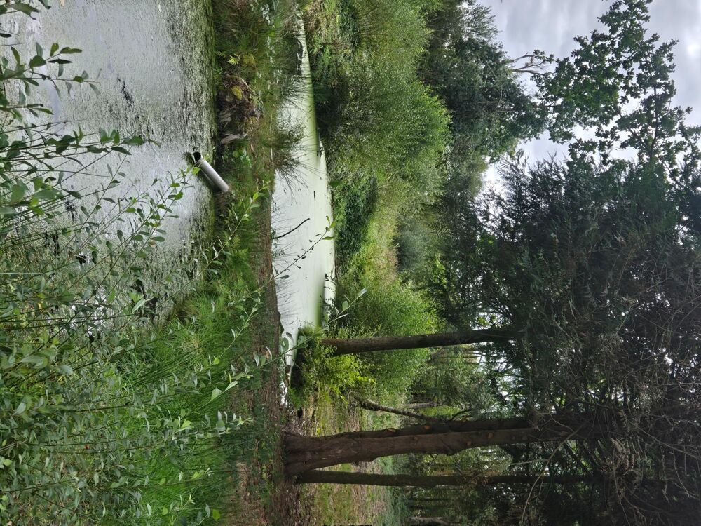Vente Terrain Beaucoup d'espace Pre-en-pail-saint-samson