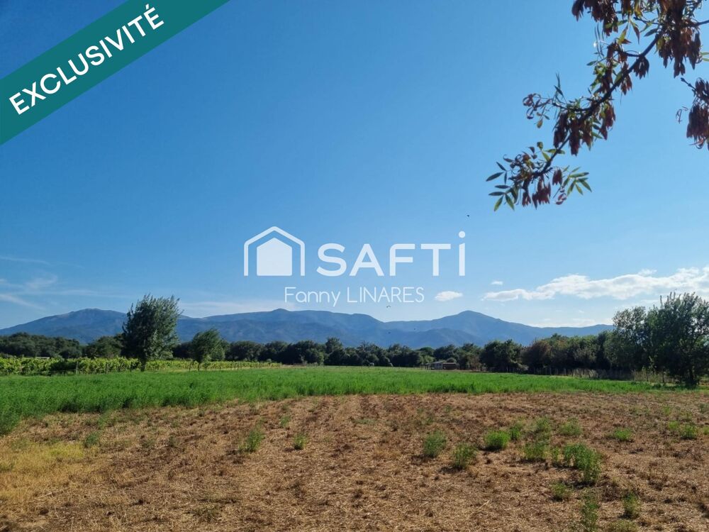 Vente Terrain Terrain de 1,8 ha plat et entretenu, avec cabanon Argeles-sur-mer