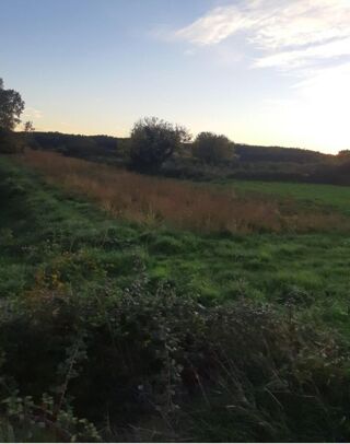  Terrain à vendre 2000 m²