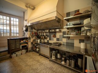  Propriété/château à vendre 15 + pièces 513 m²