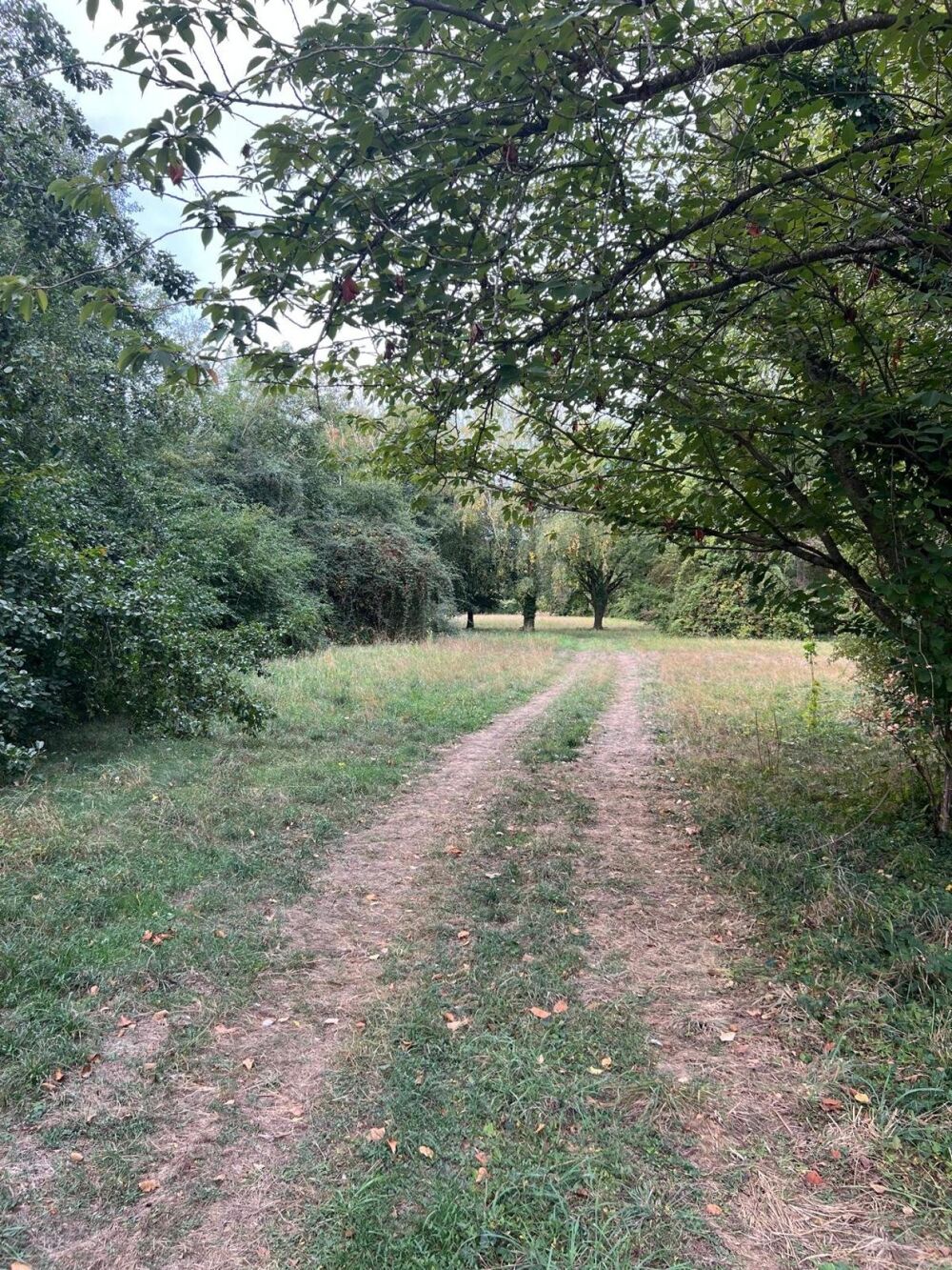 Vente Terrain Magnifique plan d'eau à côté de l'Yonne! Saint-denis-les-sens