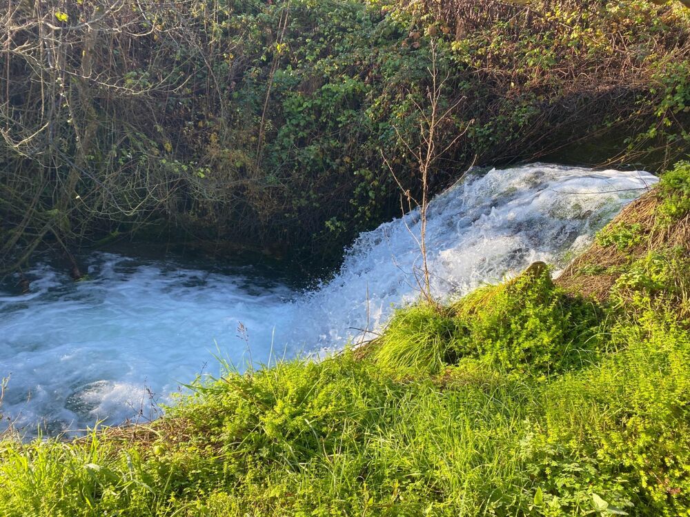 Vente Maison Voie verte offrant un fort potentiel pour le développement de nombreux projets touristiques, artisanaux ou agricoles. Larroque-toirac