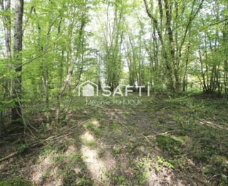  Terrain � vendre 2312 m�