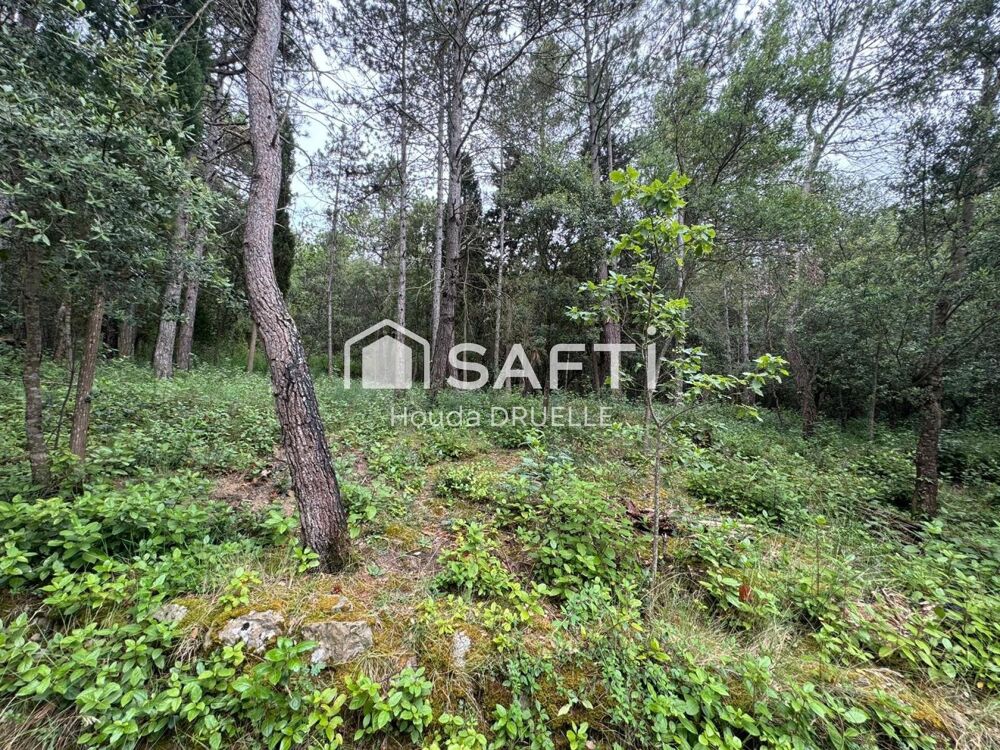 Vente Maison Maison de plain pied sur un terrain de 6800m Palaja