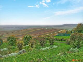  Maison � vendre 10 pi�ces 301 m�