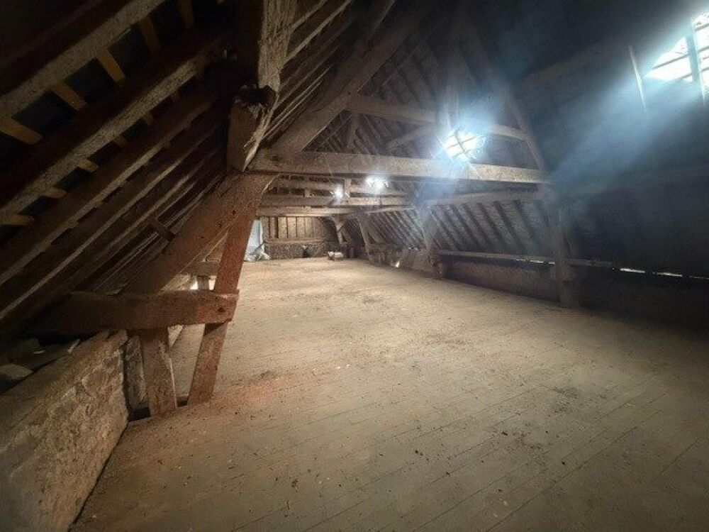 Vente Immeuble Batiment en centre ville La ferte-mace