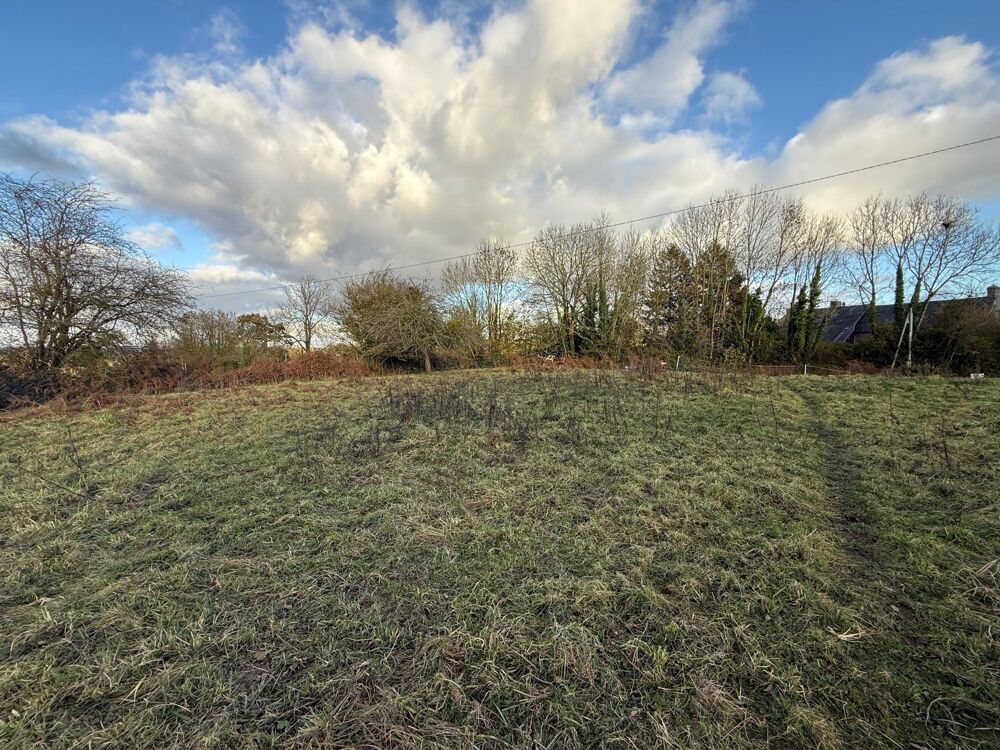 Vente Terrain Terrain de 1017 m2 Ouville Ouville