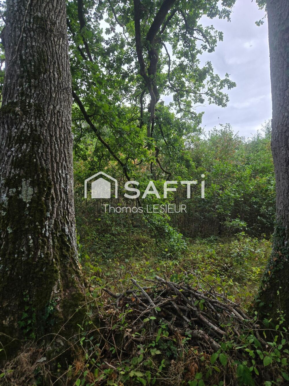Vente Terrain au calme Pre-en-pail-saint-samson