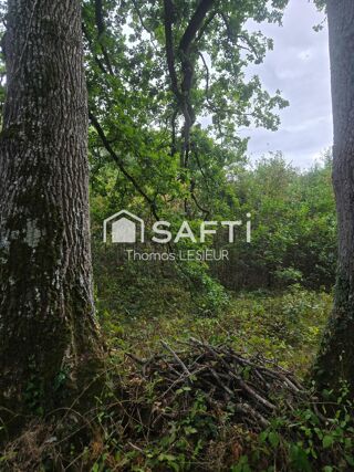  Terrain à vendre 12460 m²