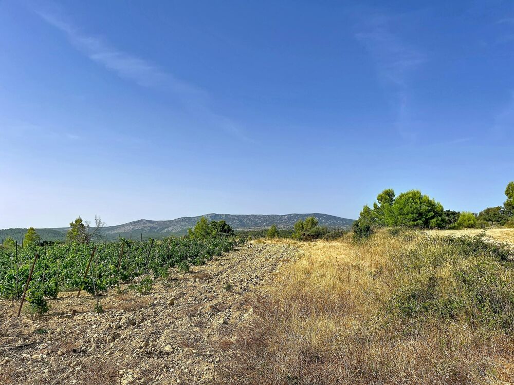 Vente Terrain Vue imprenable sur les Corbières, la garrigue, les étangs de Sigean et de La Palme, et, par temps clair, jusqu'à la Méditerranée Roquefort-des-corbieres