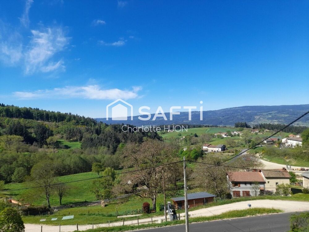 Vente Maison ? Opportunité à saisir ! Maison + grande dépendance dans cadre paisible Saint-martin-des-olmes
