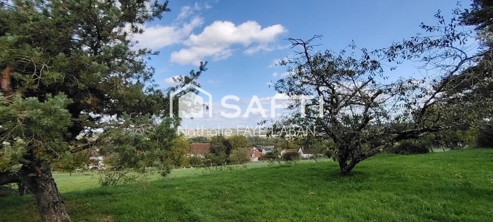 Vente Maison Vue exceptionnelle La roche-posay