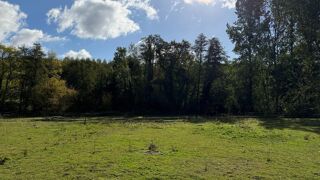 Vente Terrain TERRAIN A BATIR 3500 m² Montreuil-aux-lions