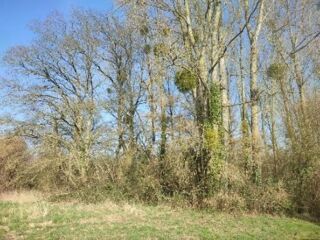  Terrain à vendre 5805 m²