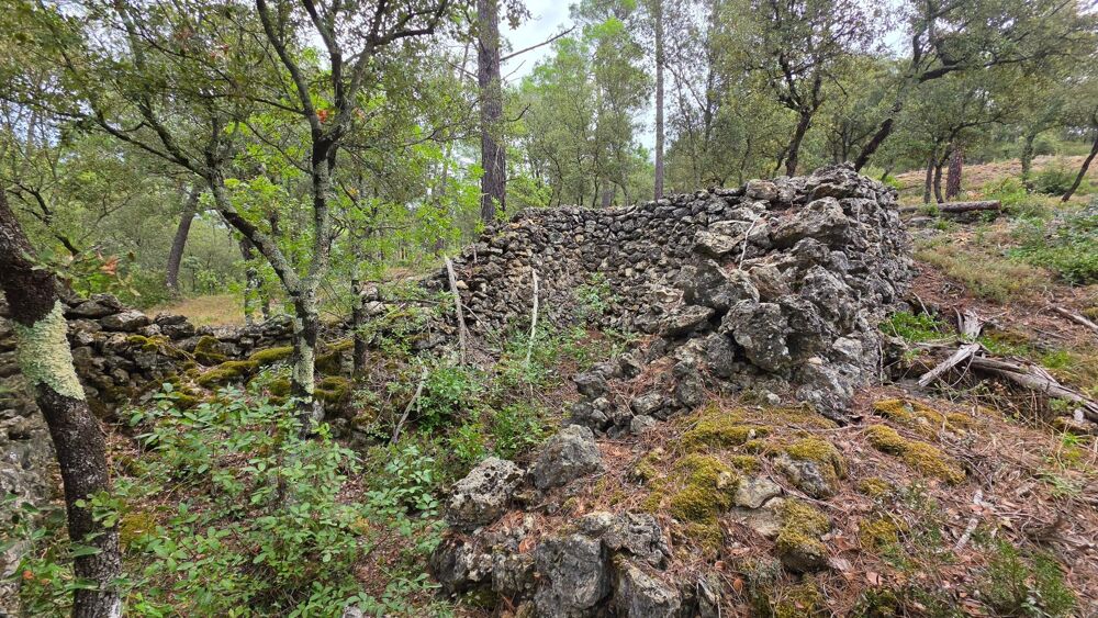 Vente Terrain TERRAIN EN ZONE NATURELLE – UN ÉCRIN DE VERDURE À PRÉSERVER Sillans-la-cascade