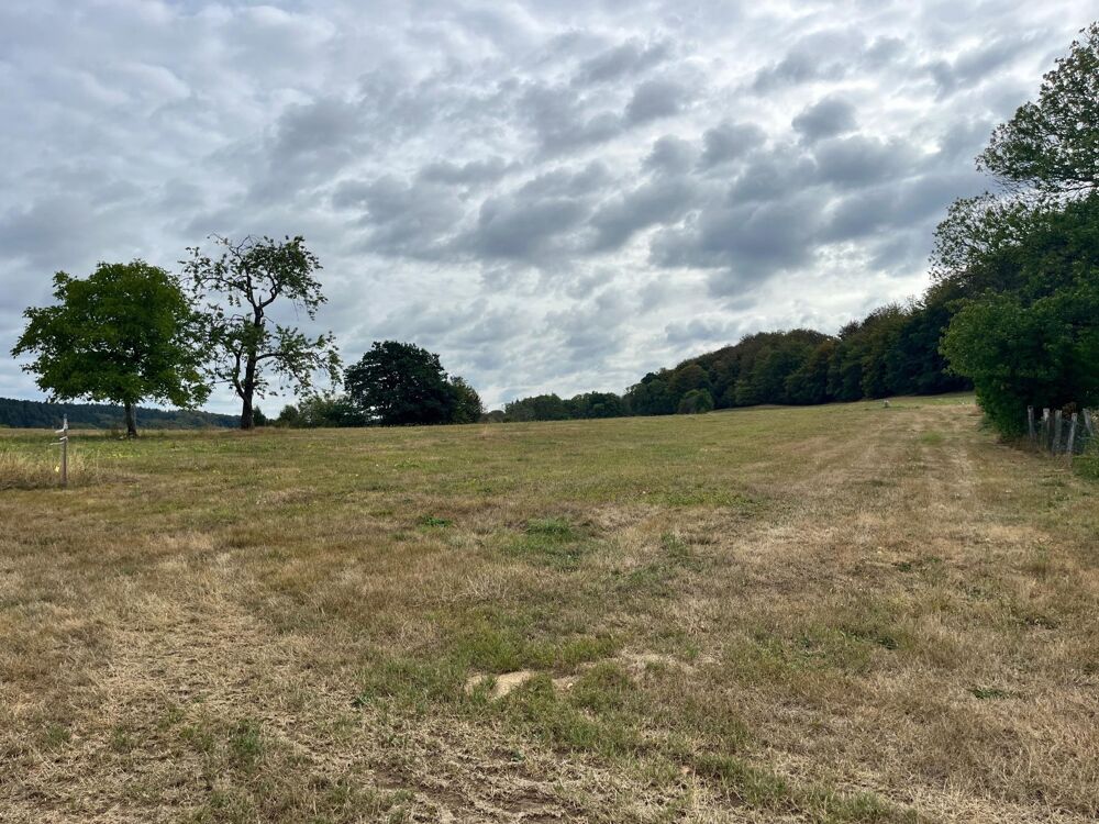 Vente Terrain Terrain constructible au calme avec vue dégagée Le val-d'ajol
