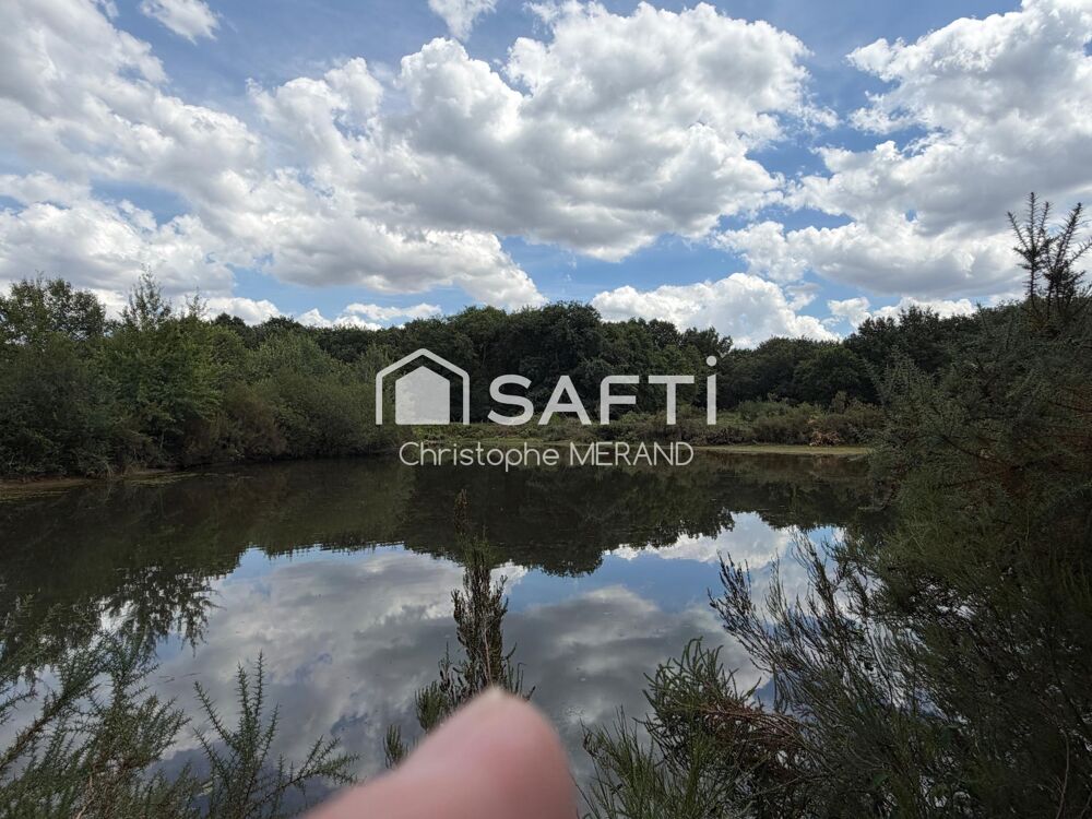 Vente Terrain ROND DU CHENE   Exceptionnel massif forestier de plus de 10 hectares avec étangs Dange-saint-romain