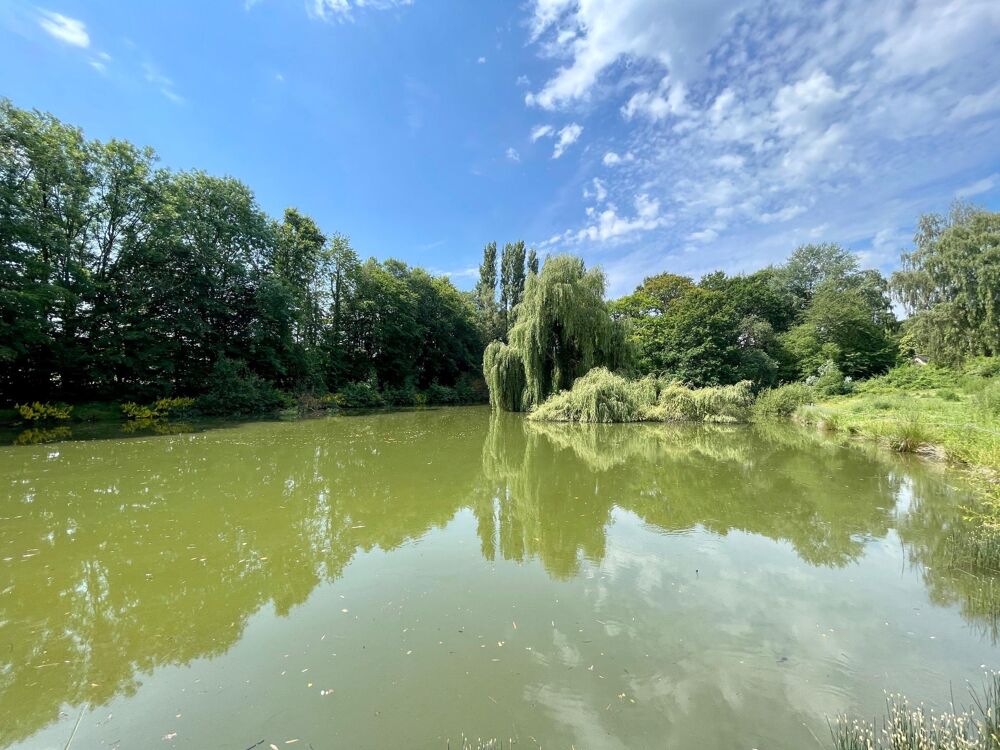 Vente Maison En campagne Chatillon-sur-colmont