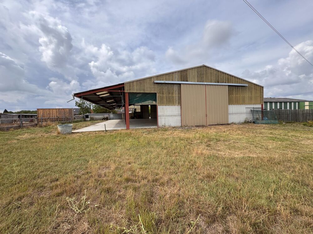 Vente Maison CORPS DE FERME À FORT POTENTIEL – ENVIRONNEMENT NATURE Bersee