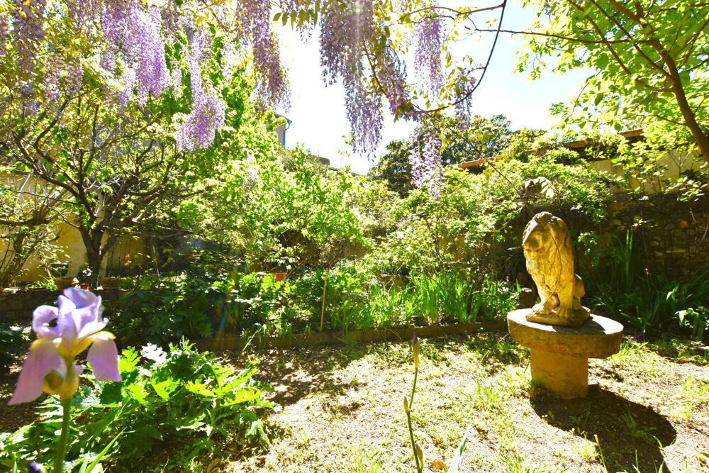 Vente Maison Maison de Maître 276m² habitable, jardin, dépendances Caunes-minervois